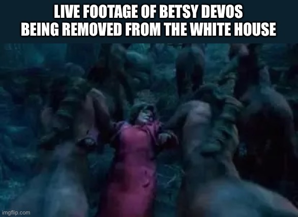 The Witch is Gone! | LIVE FOOTAGE OF BETSY DEVOS BEING REMOVED FROM THE WHITE HOUSE | image tagged in betsy devos,dolores umbridge,harry potter,fired,election 2020 | made w/ Imgflip meme maker