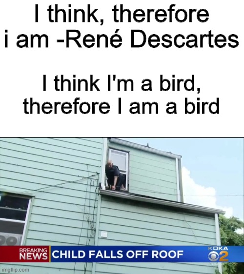 I think therefore I am | I think, therefore i am -René Descartes; I think I'm a bird, therefore I am a bird | image tagged in funny memes,breaking news | made w/ Imgflip meme maker