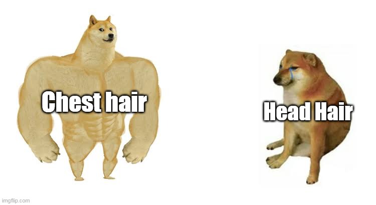 Hair fall | Head Hair; Chest hair | image tagged in strong doge weak doge | made w/ Imgflip meme maker