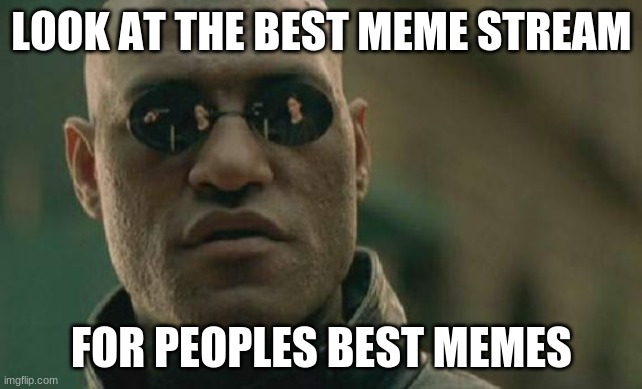 best Image | LOOK AT THE BEST MEME STREAM; FOR PEOPLES BEST MEMES | image tagged in memes,matrix morpheus | made w/ Imgflip meme maker