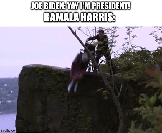 JOE BIDEN: YAY I'M PRESIDENT! KAMALA HARRIS: | image tagged in kamala harris | made w/ Imgflip meme maker