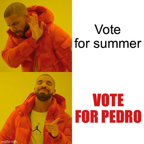 Drake Hotline Bling Meme | Vote for summer; VOTE FOR PEDRO | image tagged in memes,drake hotline bling | made w/ Imgflip meme maker