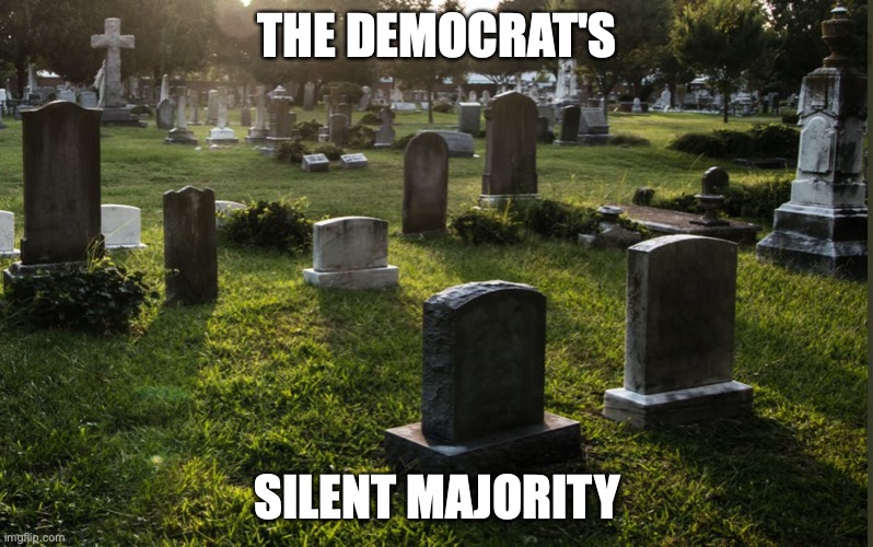 Democrat's Silent Majority | THE DEMOCRAT'S; SILENT MAJORITY | image tagged in voter fraud,stop the steal,election | made w/ Imgflip meme maker