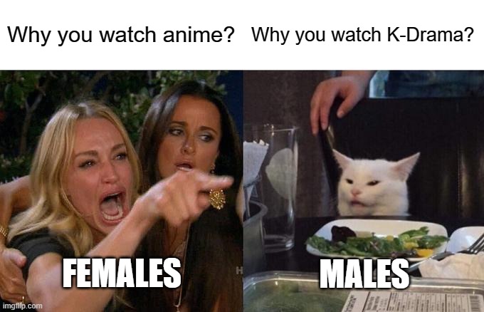 anime vs drama | Why you watch anime? Why you watch K-Drama? FEMALES; MALES | image tagged in memes,woman yelling at cat | made w/ Imgflip meme maker