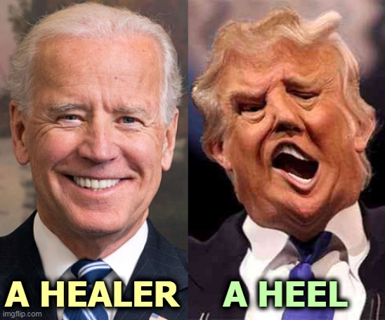 A HEEL; A HEALER | image tagged in biden,winner,trump,loser | made w/ Imgflip meme maker