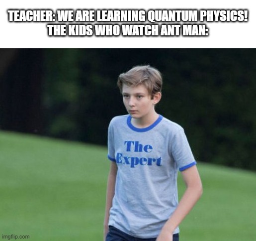 The Expert | TEACHER: WE ARE LEARNING QUANTUM PHYSICS!
THE KIDS WHO WATCH ANT MAN: | image tagged in the expert | made w/ Imgflip meme maker
