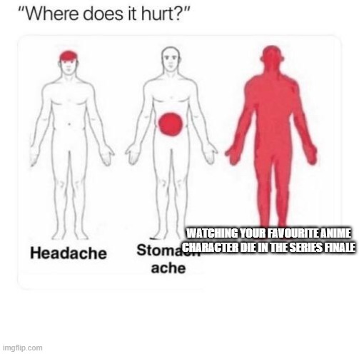 Where does it hurt | WATCHING YOUR FAVOURITE ANIME CHARACTER DIE IN THE SERIES FINALE | image tagged in where does it hurt | made w/ Imgflip meme maker