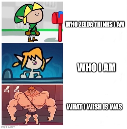 Links life | WHO ZELDA THINKS I AM; WHO I AM; WHAT I WISH IS WAS | image tagged in terminalmontage link | made w/ Imgflip meme maker