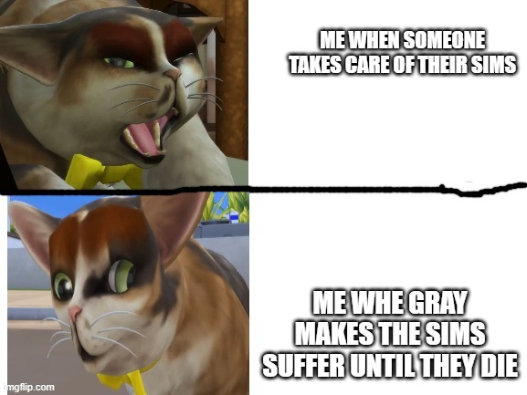 this makes me sounds psychotic | ME WHEN SOMEONE TAKES CARE OF THEIR SIMS; ME WHE GRAY MAKES THE SIMS SUFFER UNTIL THEY DIE | image tagged in spleens drake template | made w/ Imgflip meme maker