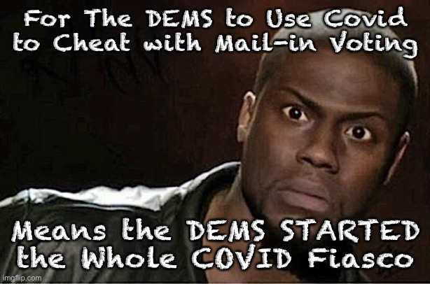 Kevin Hart | For The DEMS to Use Covid to Cheat with Mail-in Voting; Means the DEMS STARTED the Whole COVID Fiasco | image tagged in memes,kevin hart | made w/ Imgflip meme maker