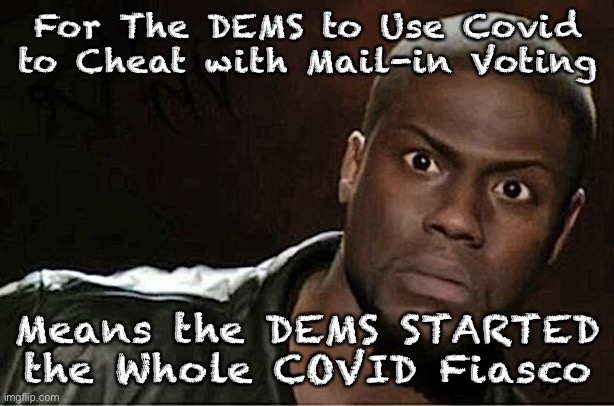 Kevin Hart Meme | For The DEMS to Use Covid to Cheat with Mail-in Voting; Means the DEMS STARTED the Whole COVID Fiasco | image tagged in memes,kevin hart | made w/ Imgflip meme maker