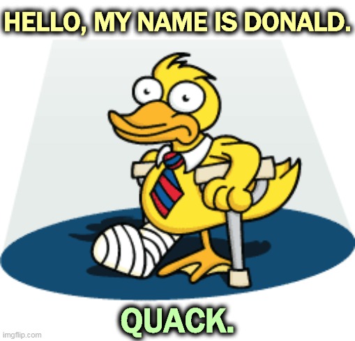 For those of you who are comedically challenged, this is a lame duck. | HELLO, MY NAME IS DONALD. QUACK. | image tagged in trump,lame,duck | made w/ Imgflip meme maker