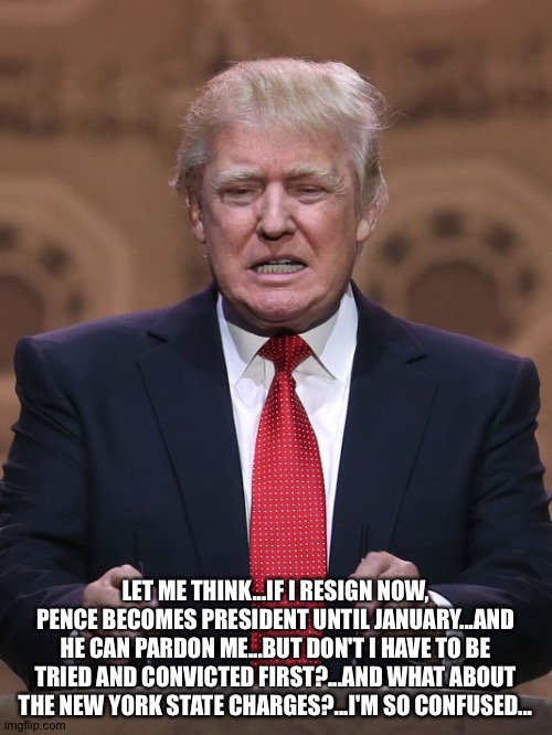 So Confused | LET ME THINK...IF I RESIGN NOW, PENCE BECOMES PRESIDENT UNTIL JANUARY...AND HE CAN PARDON ME...BUT DON'T I HAVE TO BE TRIED AND CONVICTED FIRST?...AND WHAT ABOUT THE NEW YORK STATE CHARGES?...I'M SO CONFUSED... | image tagged in donald trump | made w/ Imgflip meme maker