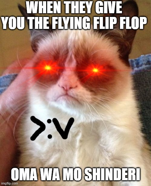 mi first meme | WHEN THEY GIVE YOU THE FLYING FLIP FLOP; OMA WA MO SHINDERI | image tagged in memes,grumpy cat | made w/ Imgflip meme maker