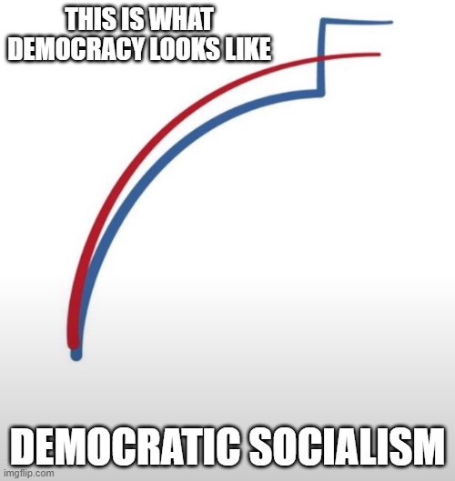 Democracy?? | THIS IS WHAT DEMOCRACY LOOKS LIKE; DEMOCRATIC SOCIALISM | image tagged in donald trump,joe biden,voting,election 2020,wisconsin,michigan | made w/ Imgflip meme maker