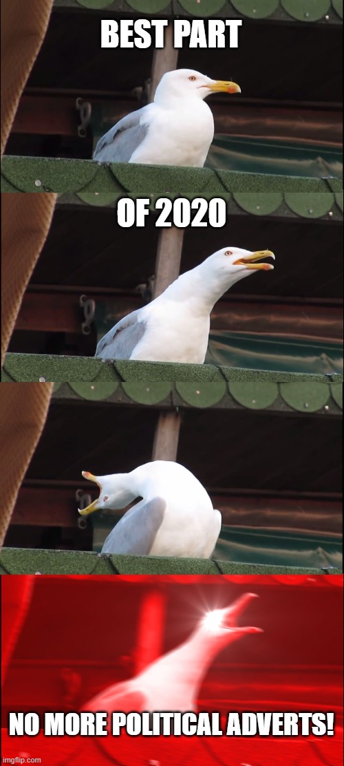 I feel like this every election year | BEST PART; OF 2020; NO MORE POLITICAL ADVERTS! | image tagged in memes,inhaling seagull,political advertising,2020,best part | made w/ Imgflip meme maker