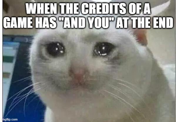 These are the best | WHEN THE CREDITS OF A GAME HAS "AND YOU" AT THE END | image tagged in crying cat | made w/ Imgflip meme maker