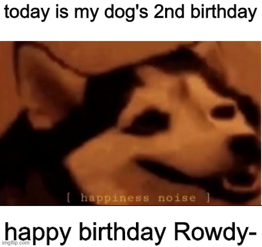 yay | today is my dog's 2nd birthday; happy birthday Rowdy- | image tagged in hapiness noise | made w/ Imgflip meme maker