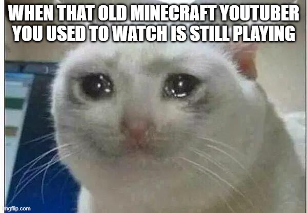 man... the nostalgia right now | WHEN THAT OLD MINECRAFT YOUTUBER YOU USED TO WATCH IS STILL PLAYING | image tagged in crying cat | made w/ Imgflip meme maker
