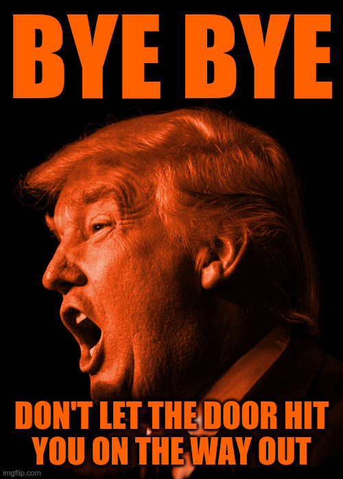 Bye Bye Trump | BYE BYE; DON'T LET THE DOOR HIT
YOU ON THE WAY OUT | image tagged in trump,goodbye | made w/ Imgflip meme maker