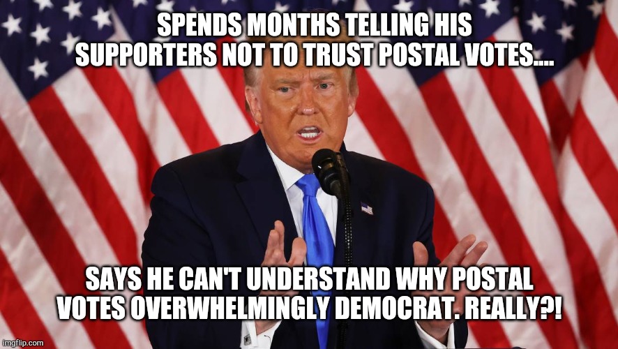 Trump can't understand postal votes | SPENDS MONTHS TELLING HIS SUPPORTERS NOT TO TRUST POSTAL VOTES.... SAYS HE CAN'T UNDERSTAND WHY POSTAL VOTES OVERWHELMINGLY DEMOCRAT. REALLY?! | image tagged in trump falsely accusing,dishonest donald | made w/ Imgflip meme maker
