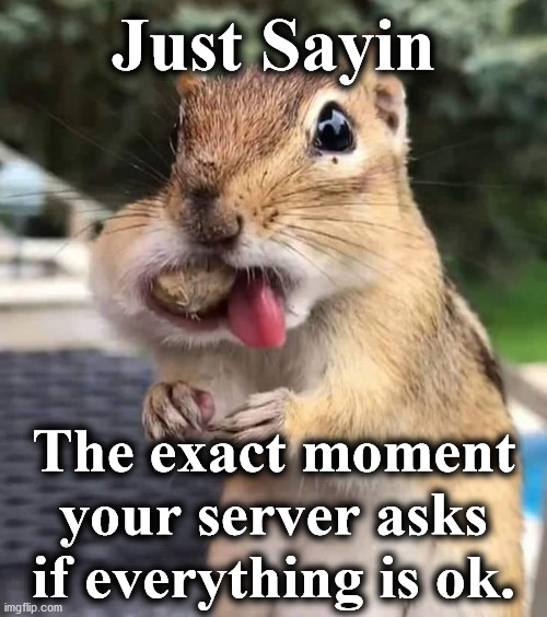 squirrel | Just Sayin; The exact moment your server asks if everything is ok. | image tagged in squirrel | made w/ Imgflip meme maker