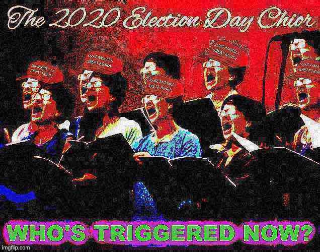 Tl;dr we all sing the triggered song of our people | image tagged in election 2020,triggered,triggered liberal,song of my people,triggered feminist,purge | made w/ Imgflip meme maker