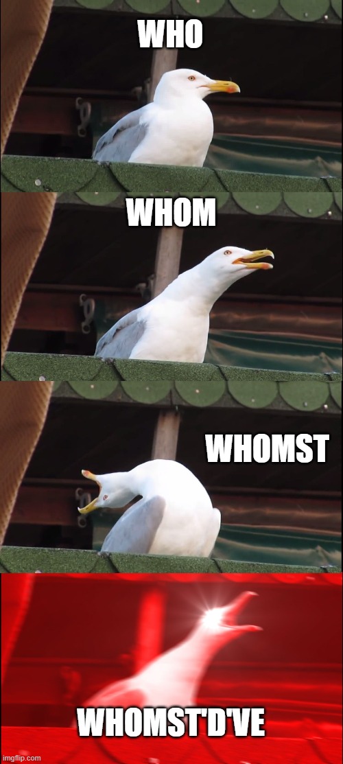 Inhaling Seagull Meme | WHO; WHOM; WHOMST; WHOMST'D'VE | image tagged in memes,inhaling seagull | made w/ Imgflip meme maker