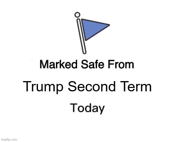 Marked Safe From Meme | Trump Second Term | image tagged in memes,marked safe from | made w/ Imgflip meme maker
