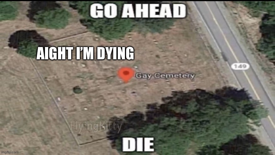Gay cemetery | AIGHT I’M DYING | image tagged in gay cemetery | made w/ Imgflip meme maker