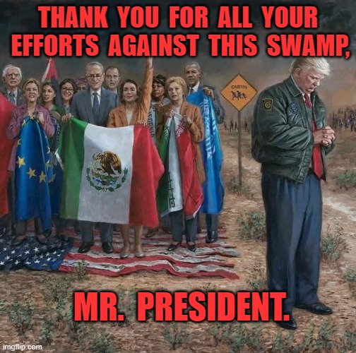 Trump Thanks | THANK  YOU  FOR  ALL  YOUR  EFFORTS  AGAINST  THIS  SWAMP, MR.  PRESIDENT. | image tagged in my president,good vs evil | made w/ Imgflip meme maker