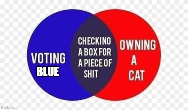 vote blue even if they are shit | BLUE | image tagged in funny | made w/ Imgflip meme maker