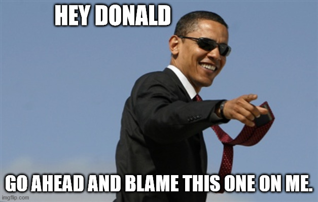 Cool Obama Meme | HEY DONALD; GO AHEAD AND BLAME THIS ONE ON ME. | image tagged in memes,cool obama | made w/ Imgflip meme maker