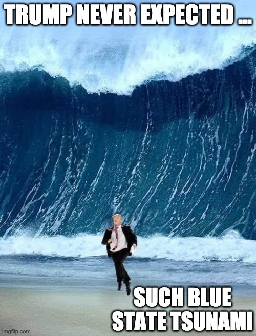 Bue states tsunami | TRUMP NEVER EXPECTED ... SUCH BLUE STATE TSUNAMI | image tagged in trump tsunami wave election run,donald trump,republicans,fox news,conservatives | made w/ Imgflip meme maker