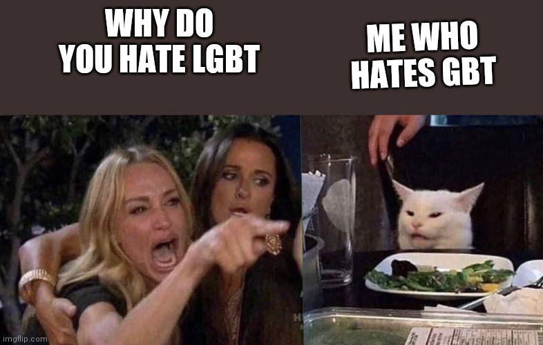 woman yelling at cat | ME WHO HATES GBT; WHY DO YOU HATE LGBT | image tagged in woman yelling at cat | made w/ Imgflip meme maker
