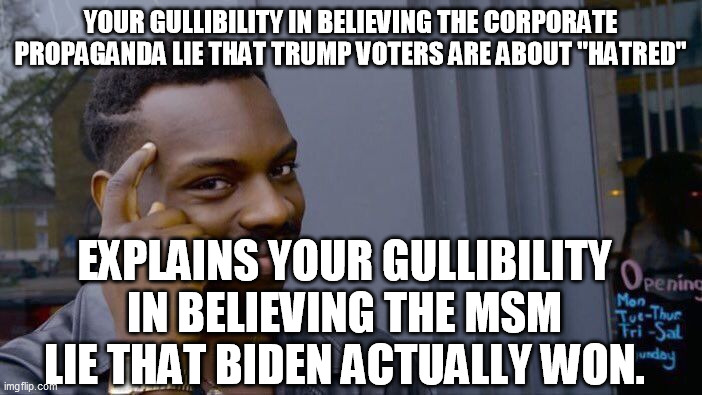 Roll Safe Think About It Meme | YOUR GULLIBILITY IN BELIEVING THE CORPORATE PROPAGANDA LIE THAT TRUMP VOTERS ARE ABOUT "HATRED" EXPLAINS YOUR GULLIBILITY IN BELIEVING THE M | image tagged in memes,roll safe think about it | made w/ Imgflip meme maker