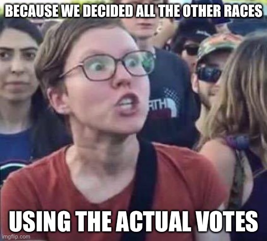 Angry Liberal | BECAUSE WE DECIDED ALL THE OTHER RACES USING THE ACTUAL VOTES | image tagged in angry liberal | made w/ Imgflip meme maker