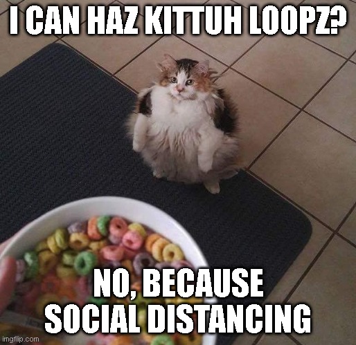 I CAN HAz LOOPZ meme | I CAN HAZ KITTUH LOOPZ? NO, BECAUSE SOCIAL DISTANCING | image tagged in i can haz,loopz,froot loops,quarantine,covid,cats | made w/ Imgflip meme maker