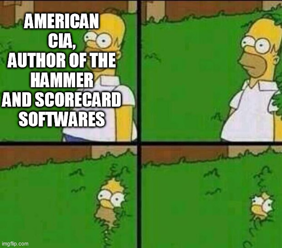 Homer Simpson in Bush - Large | AMERICAN CIA, AUTHOR OF THE HAMMER AND SCORECARD SOFTWARES | image tagged in homer simpson in bush - large | made w/ Imgflip meme maker