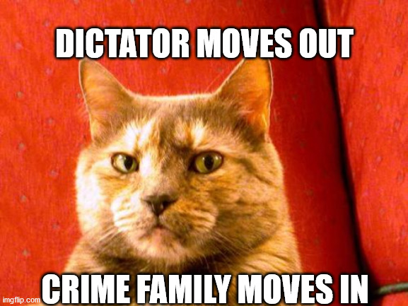 Suspicious Cat Meme | DICTATOR MOVES OUT; CRIME FAMILY MOVES IN | image tagged in memes,suspicious cat | made w/ Imgflip meme maker