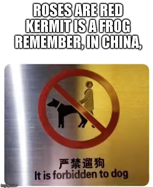 ROSES ARE RED
KERMIT IS A FROG
REMEMBER, IN CHINA, | made w/ Imgflip meme maker