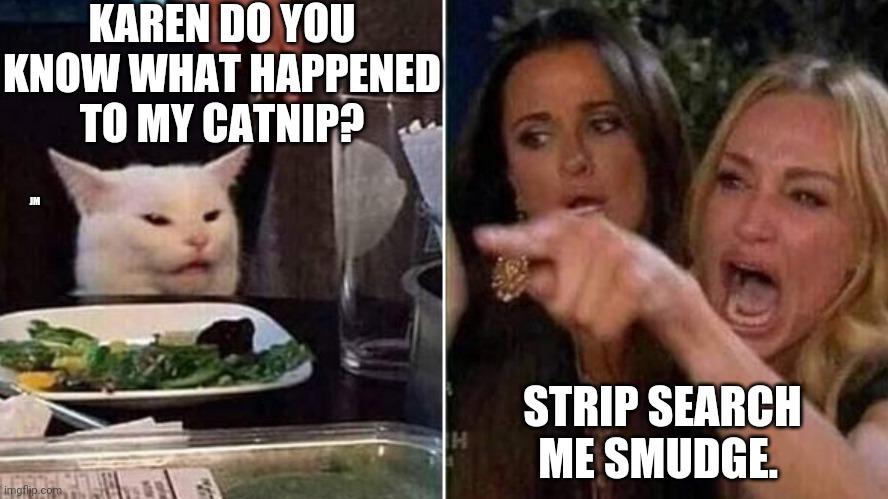 Reverse Smudge and Karen | KAREN DO YOU KNOW WHAT HAPPENED TO MY CATNIP? JM; STRIP SEARCH ME SMUDGE. | image tagged in reverse smudge and karen | made w/ Imgflip meme maker