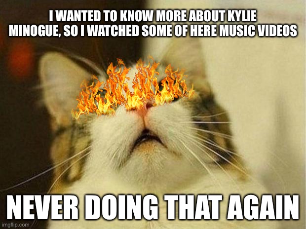 Scared Cat | I WANTED TO KNOW MORE ABOUT KYLIE MINOGUE, SO I WATCHED SOME OF HERE MUSIC VIDEOS; NEVER DOING THAT AGAIN | image tagged in memes,scared cat | made w/ Imgflip meme maker