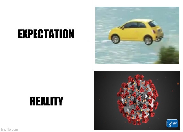 Expectation vs Reality | image tagged in expectation vs reality,memes,flying car,coronavirus,2020,2020 sucks | made w/ Imgflip meme maker