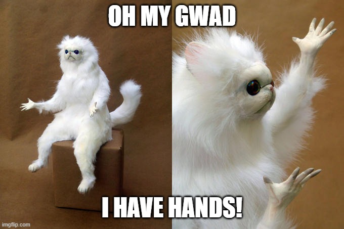 H A N D S |  OH MY GWAD; I HAVE HANDS! | image tagged in memes,persian cat room guardian | made w/ Imgflip meme maker