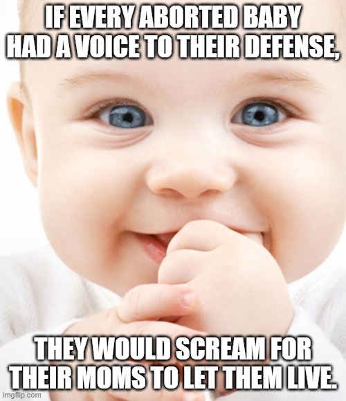 Abortion is not what people think... | IF EVERY ABORTED BABY HAD A VOICE TO THEIR DEFENSE, THEY WOULD SCREAM FOR THEIR MOMS TO LET THEM LIVE. | image tagged in baby,anti abortion,pro life,parenting | made w/ Imgflip meme maker