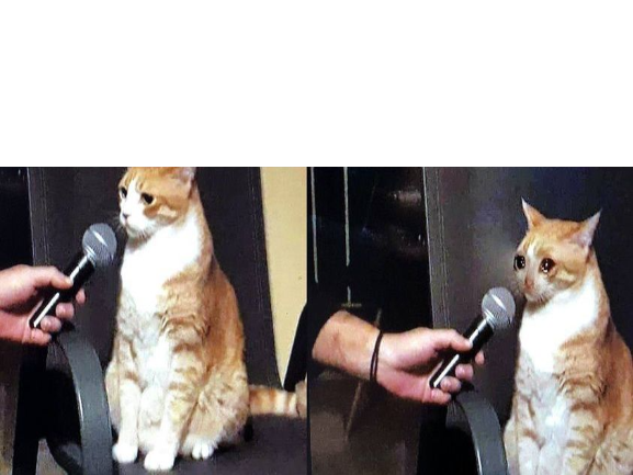 High Quality Interview with Mr. Cat Blank Meme Template