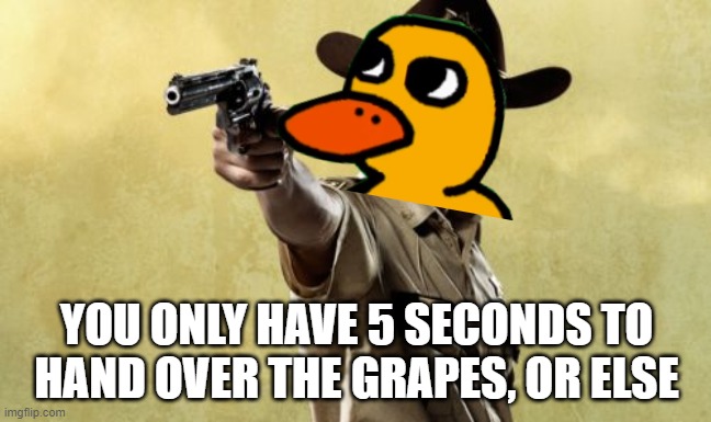 duck song meme |  YOU ONLY HAVE 5 SECONDS TO HAND OVER THE GRAPES, OR ELSE | image tagged in memes,rick grimes,duck | made w/ Imgflip meme maker