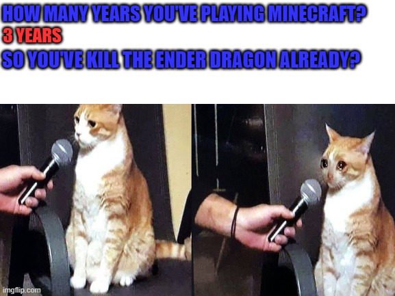 SO SAD!!! | HOW MANY YEARS YOU'VE PLAYING MINECRAFT? 3 YEARS; SO YOU'VE KILL THE ENDER DRAGON ALREADY? | image tagged in interview with mr cat | made w/ Imgflip meme maker