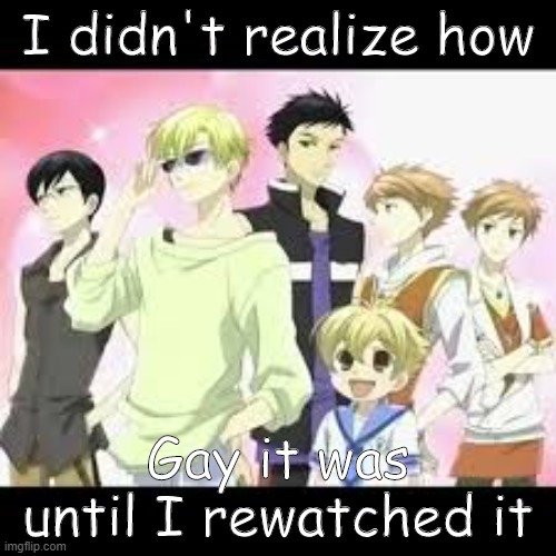 You guys are the homosexual supporting cast | I didn't realize how; Gay it was until I rewatched it | image tagged in ouran highschool host club | made w/ Imgflip meme maker